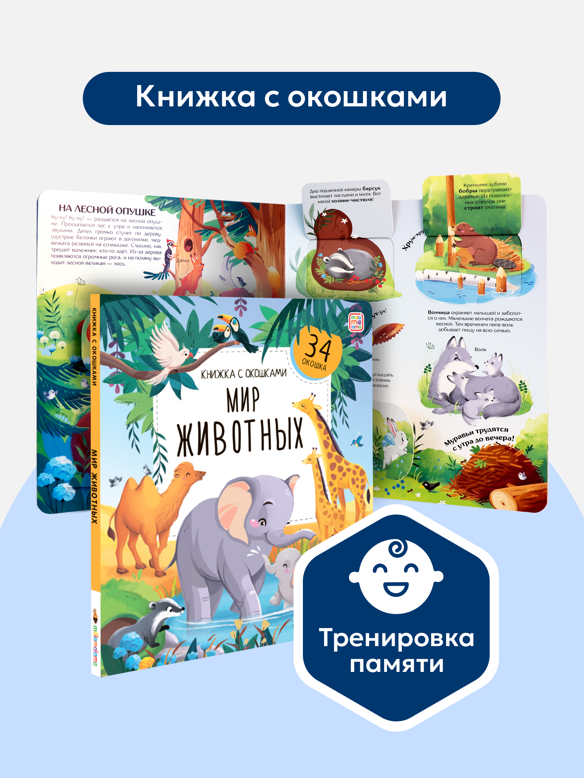 Книжка с окошками Мир Животных Malamalama Детская энциклопедия - фото 1