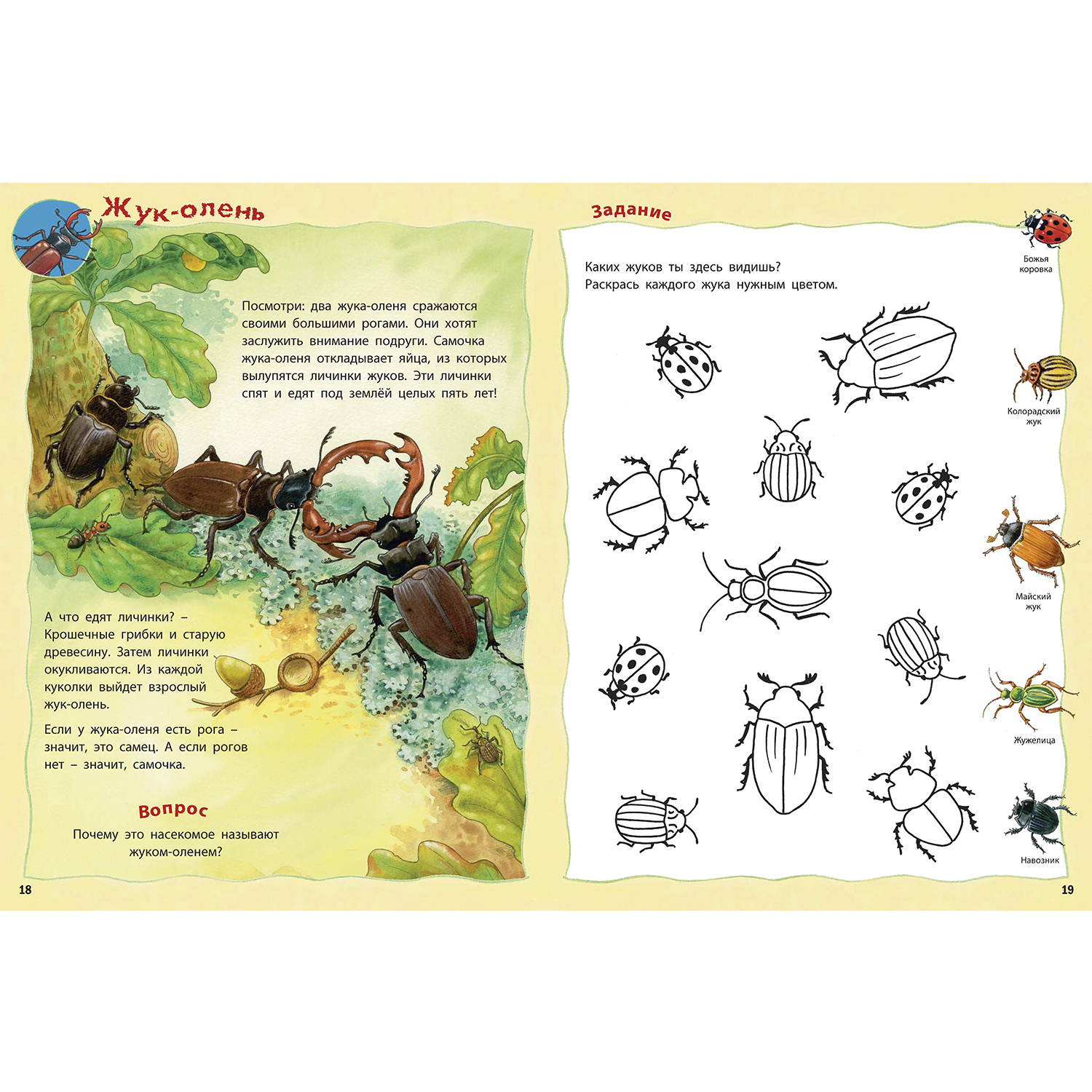 Книга ЭНАС-книга Как живут насекомые? - фото 6