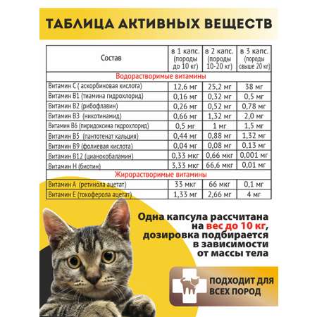 Витаминный комплекс ALTAI ANIMAL для кошек Здоровое пищеварение