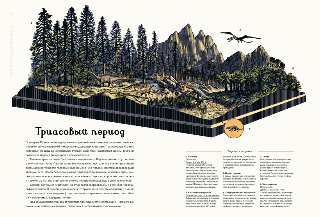 Книга Махаон Динозавриум - фото 5