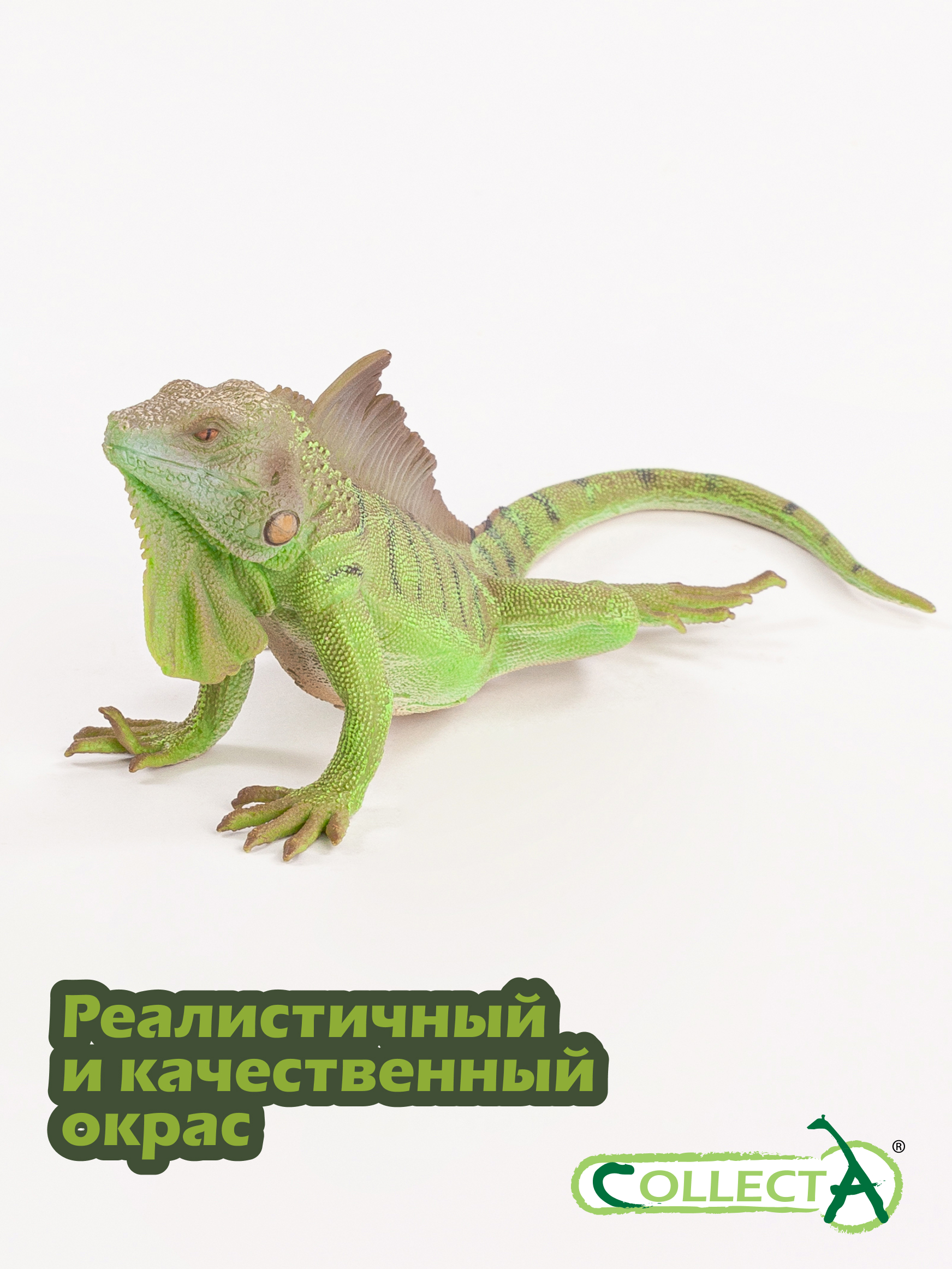 Фигурка Collecta Игуана - фото 4