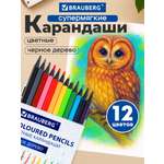 Карандаши цветные Brauberg 12 шт.
