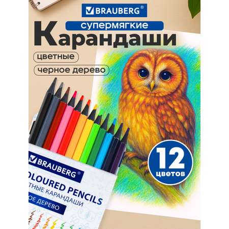 Карандаши цветные Brauberg 12 шт.