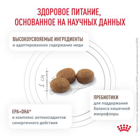 Корм для кошек ROYAL CANIN Hepatic HF 26 лечение печени 2кг