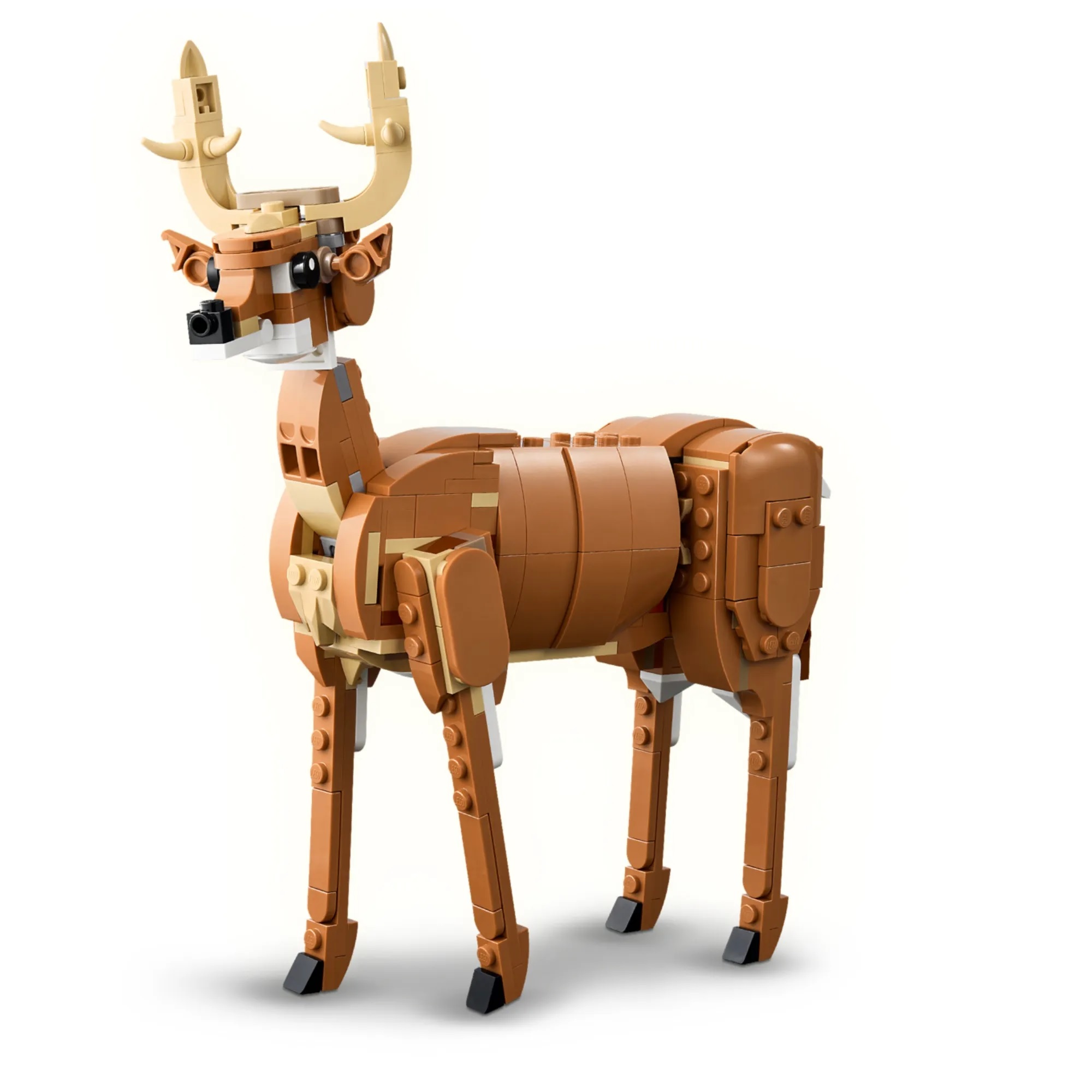 Конструктор LEGO Creator Прекрасная лошадь 3 в 1 685 дет. - фото 3