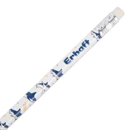 Карандаши чернографитные Erhaft 1 шт.