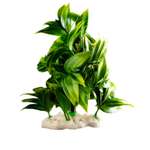 Растение для аквариума Пижон Аква 12.5 х 10 х 14 см