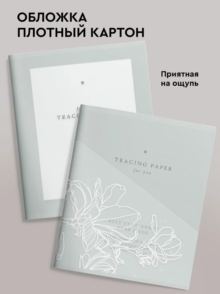 Общая тетрадь SCHOOLFORMAT клетка 5 шт. - фото 3