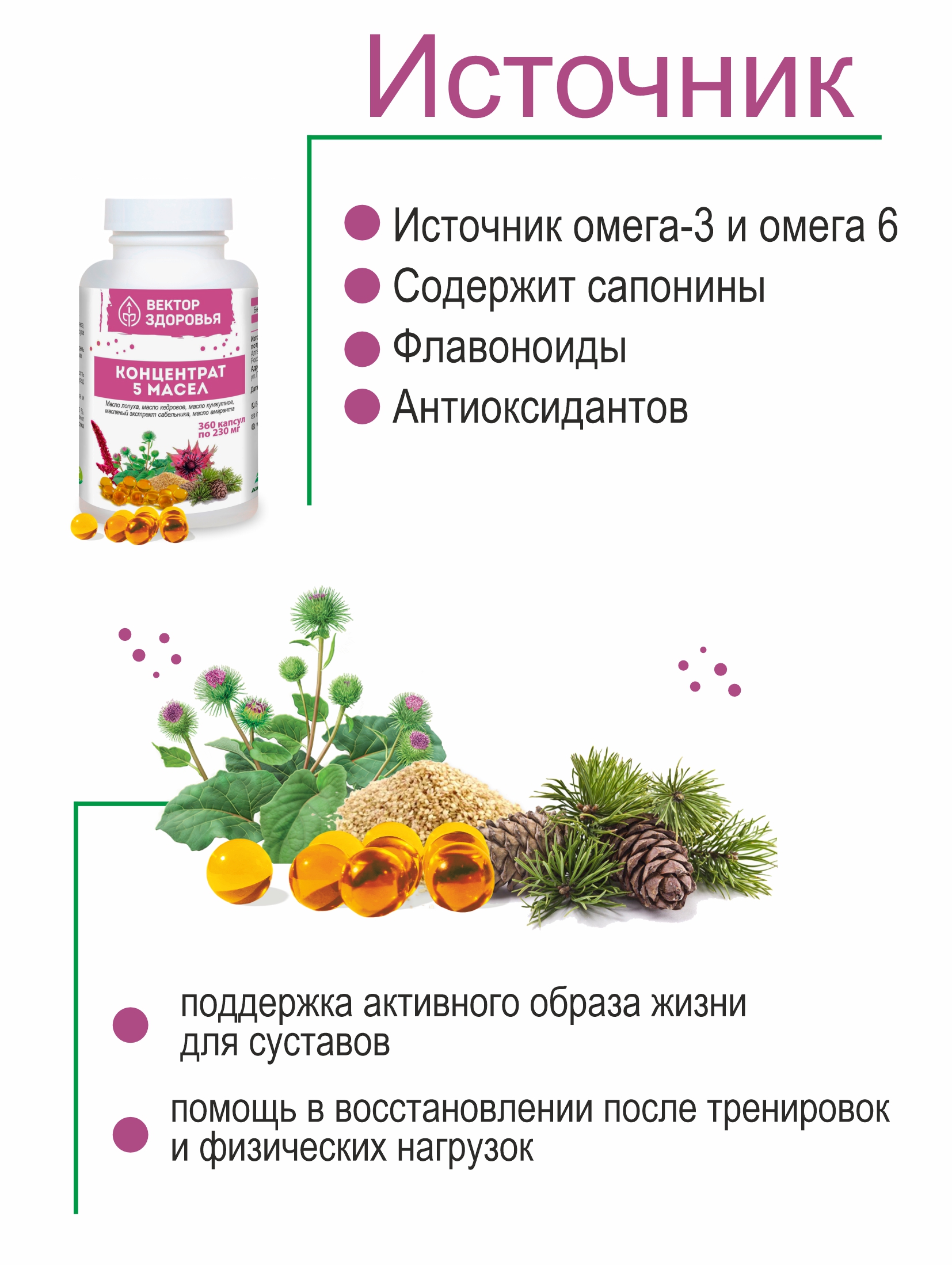 Концентрат масел Алтайские традиции Здоровые суставы 360 капсул - фото 3