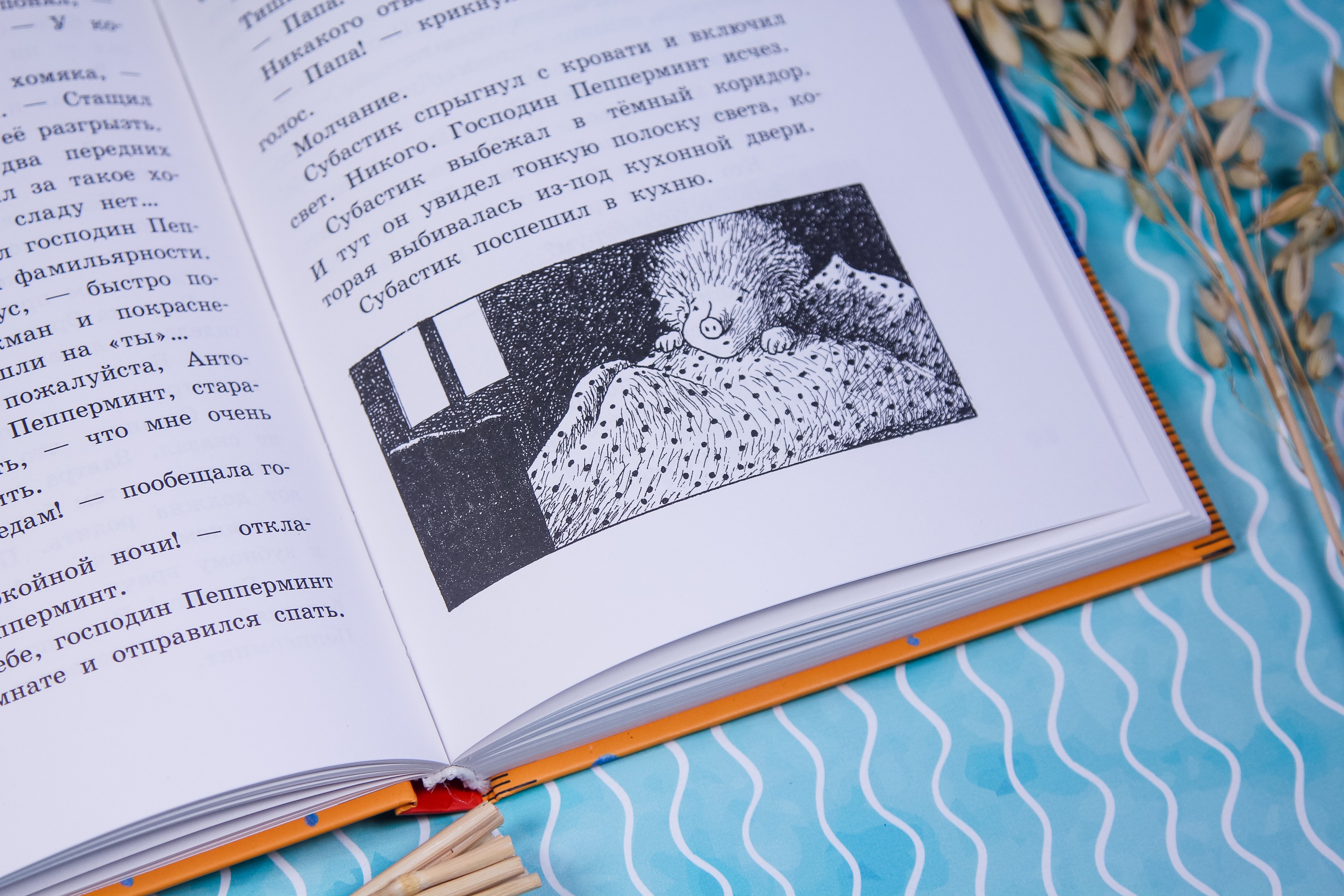 Книга Лабиринт Новые веснушки для Субастика - фото 3