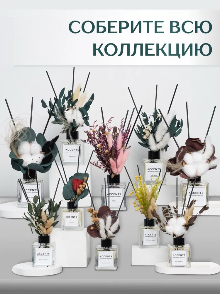 Диффузор с сухоцветами в Премиум тубусе Accents Massimo - фото 10