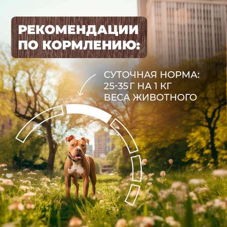 Корм для собак Родные корма скоблянка мясная по-городецки 970г