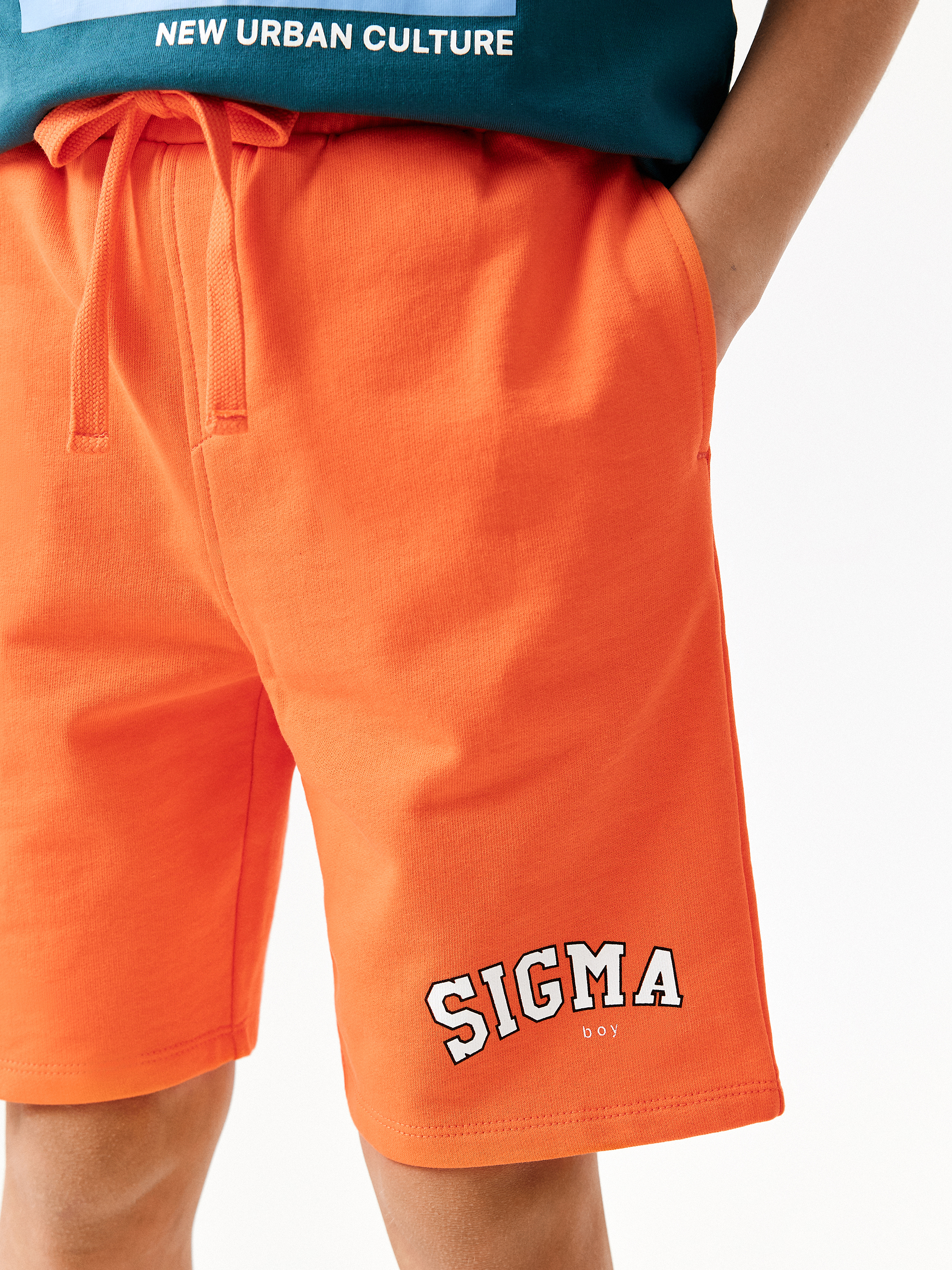 Шорты Acoola 20130420018_0087226 - фото 6