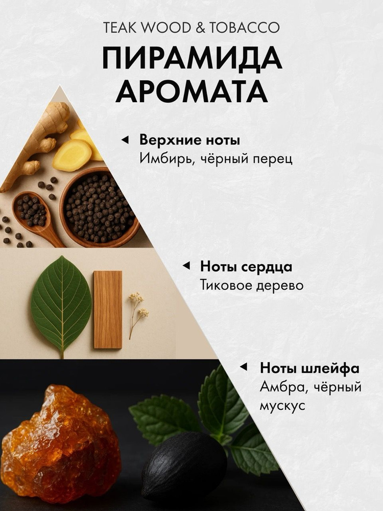 Диффузор с сухоцветами в Премиум тубусе Accents Teak Wood & Tobacco - фото 2