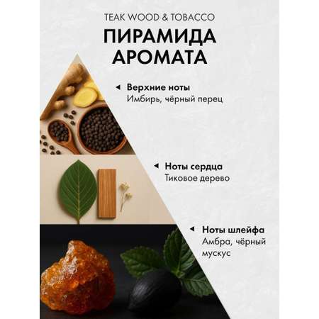 Диффузор с сухоцветами в Премиум тубусе Accents Teak Wood & Tobacco
