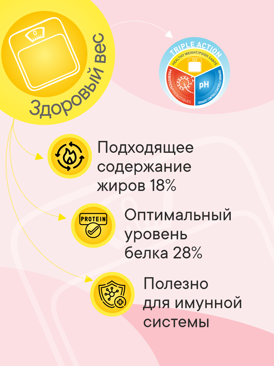 Корм сухой 1st Choice Indoor Vitality для домашних кошек на курице 10кг - фото 3
