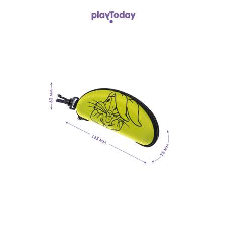 Чехол для солнцезащитных очков PlayToday