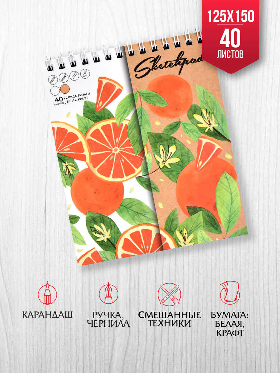 Скетчбук Феникс + - фото 1