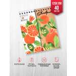 Скетчбук Феникс +