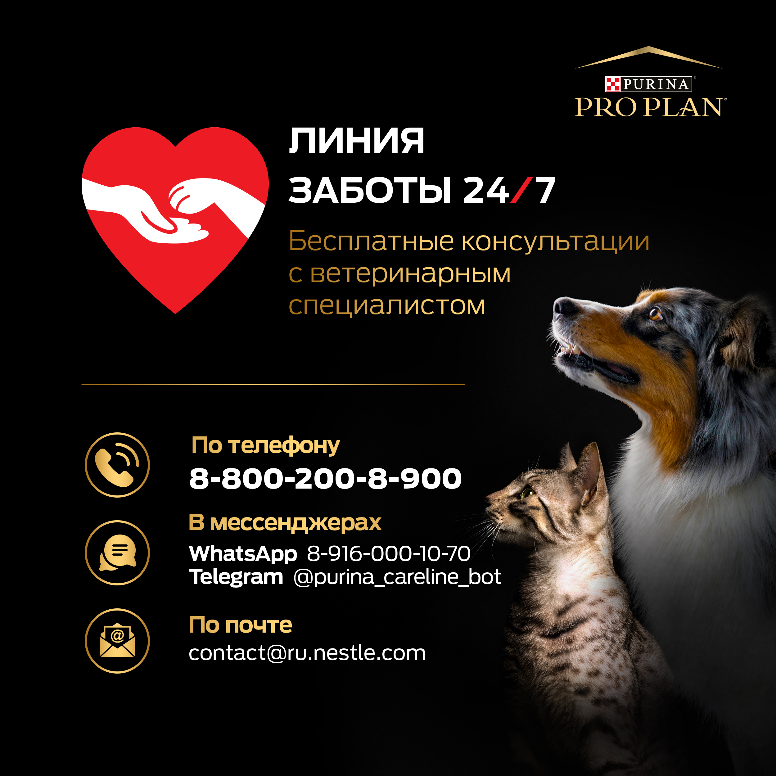 Корм влажный для кошек PRO PLAN DELICATE DIGESTION 85г с океанической рыбой в соусе - фото 11