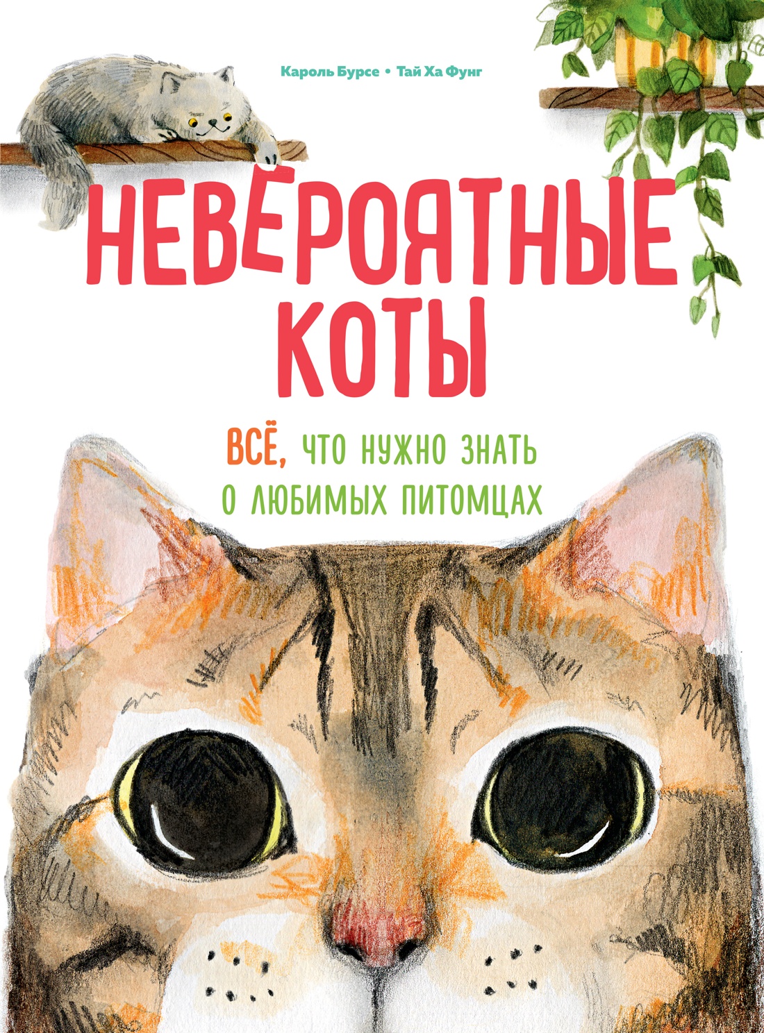 Книга Махаон Энц. Бурсе К. Невероятные коты. Всё, что нужно знать о любимых питомцах - фото 1