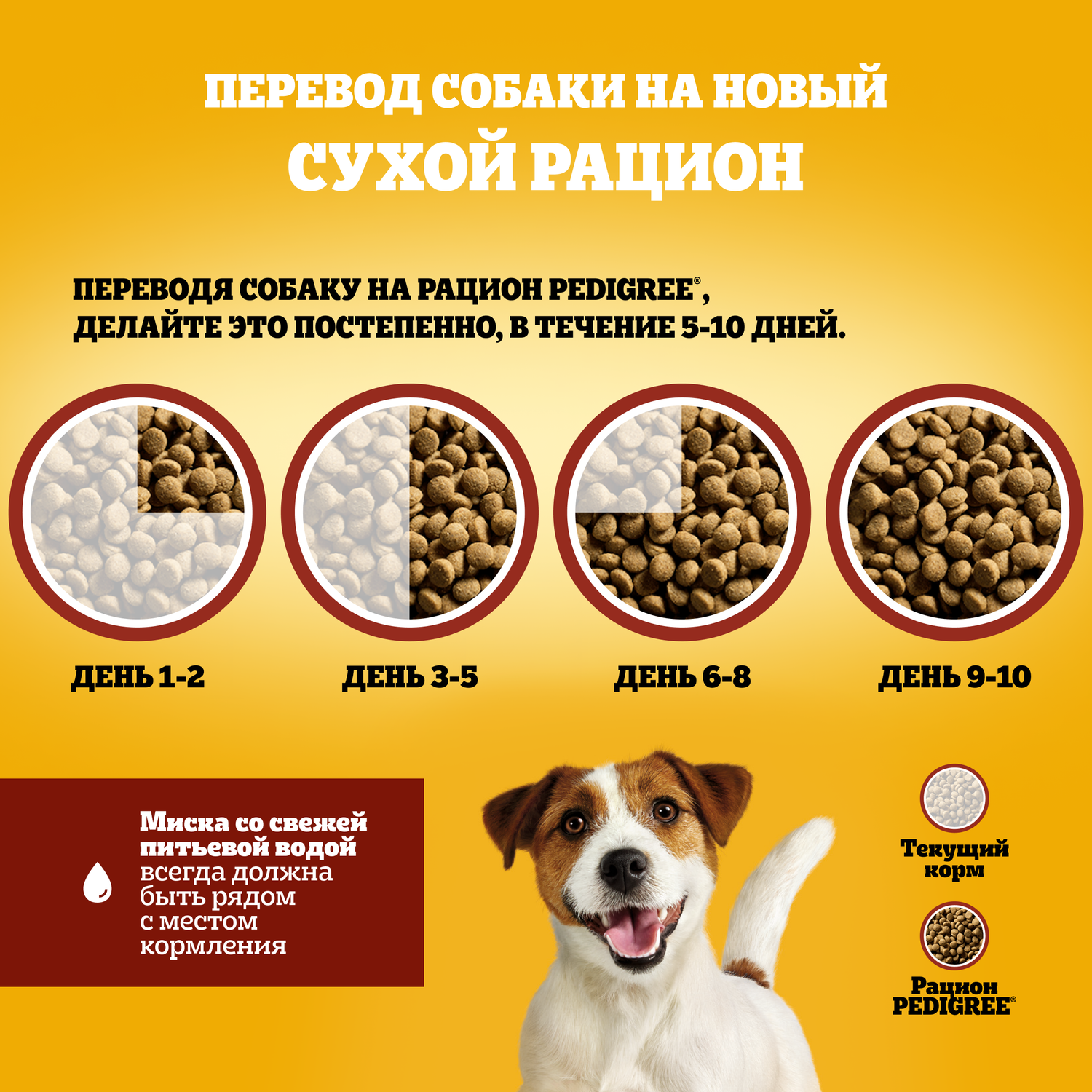 Корм сухой полнорационный Pedigree для взрослых собак маленьких пород меньше 15кг с говядиной 500г - фото 5