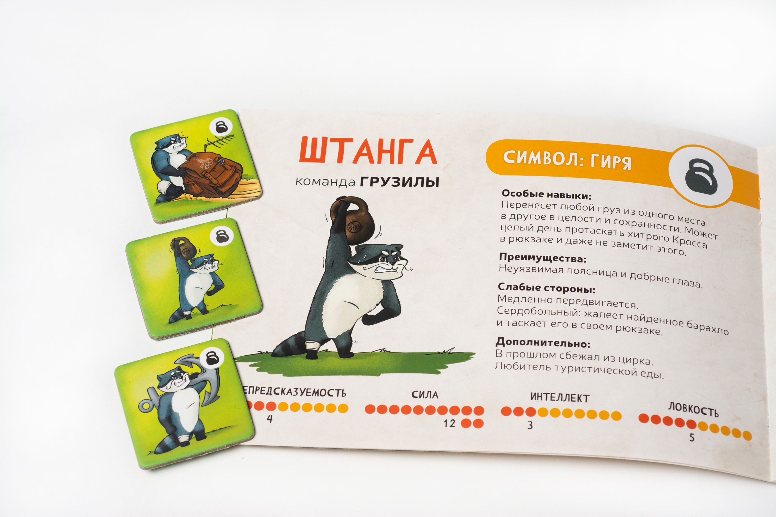 Настольная игра Райтигра - фото 6