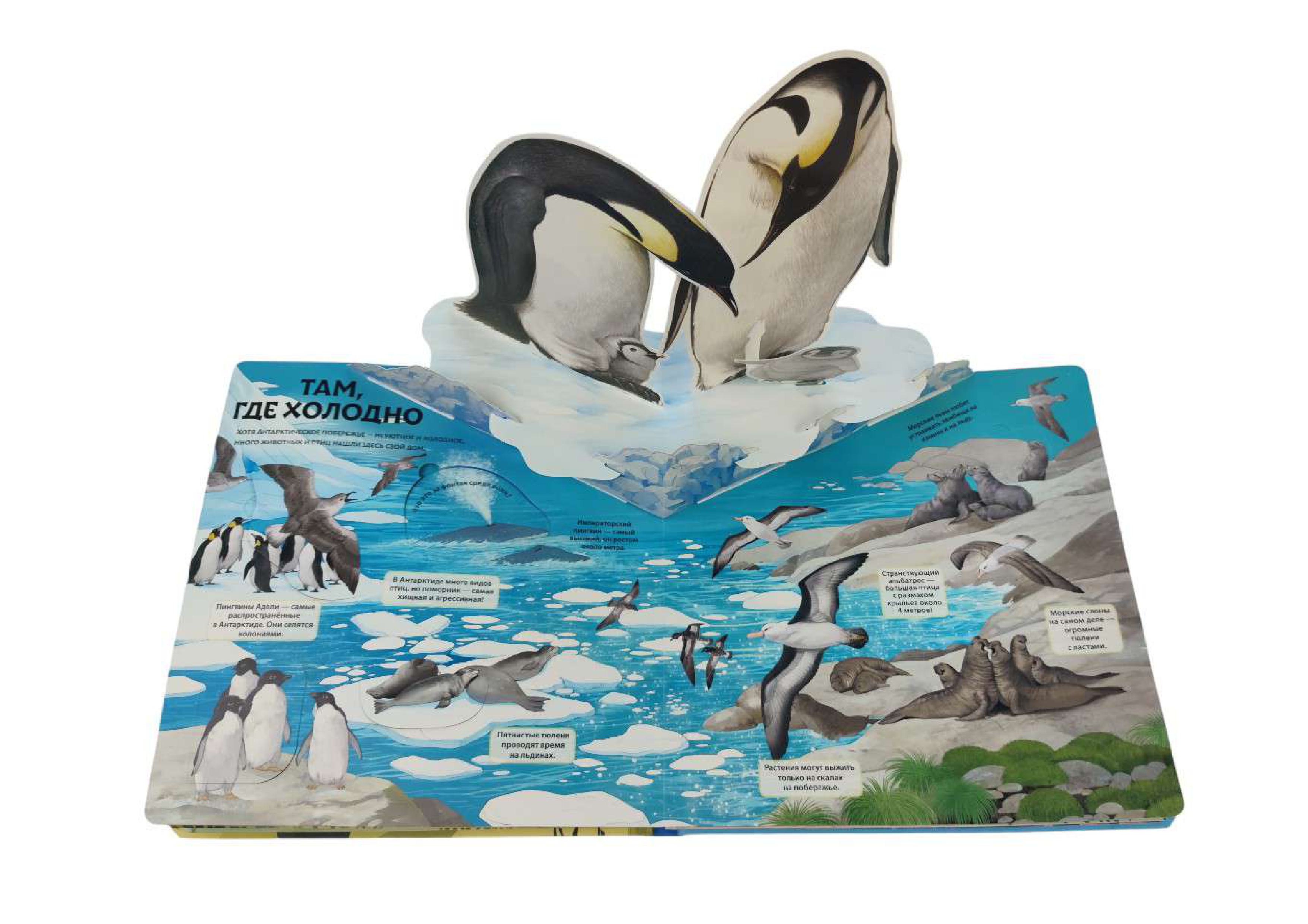 Книга Эксмо Животные и растения Энциклопедия - фото 6