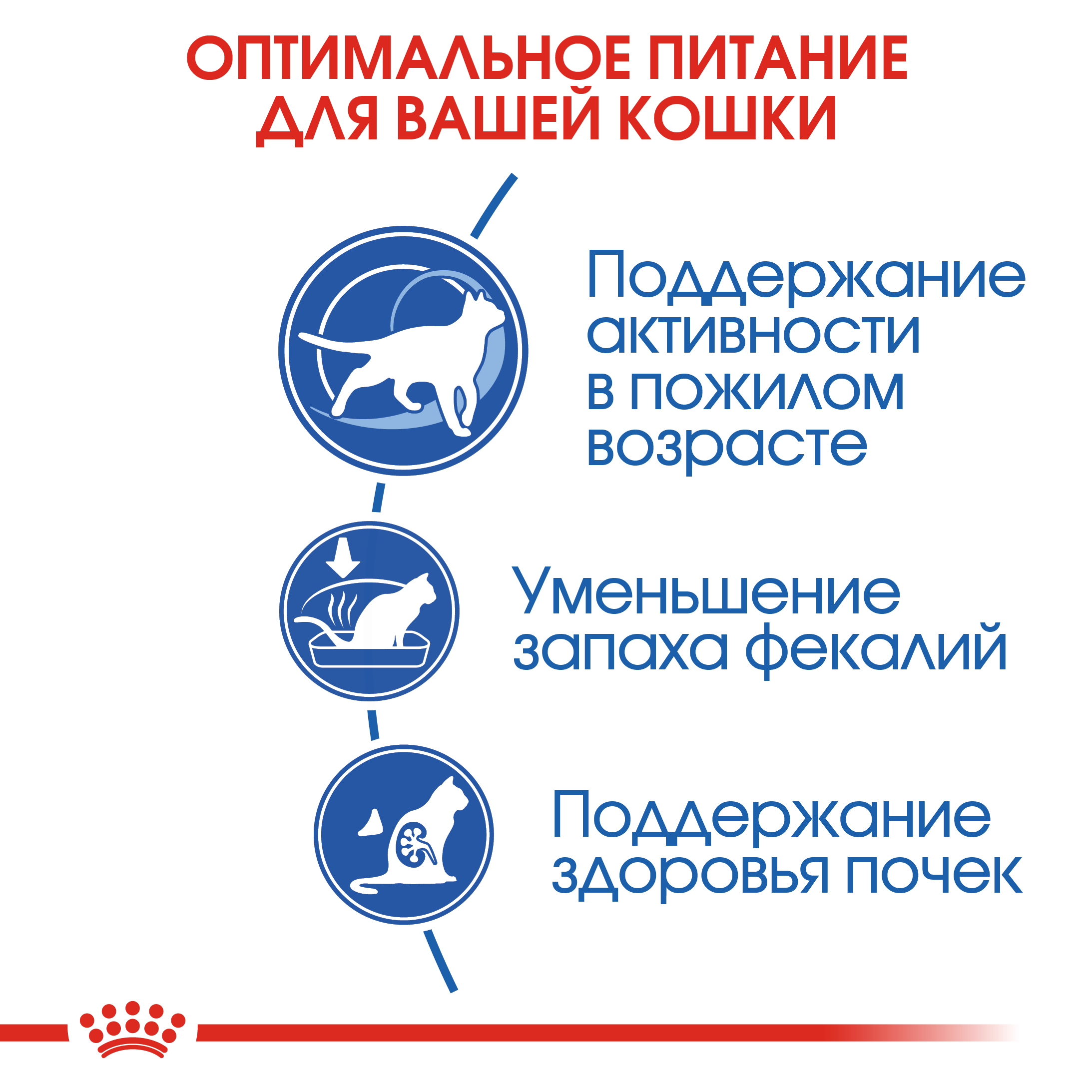 Корм сухой для кошек ROYAL CANIN Indoor 400г пожилых кошек постоянно проживающих в помещении - фото 7