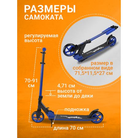 Самокат Рыжий кот двухколесный
