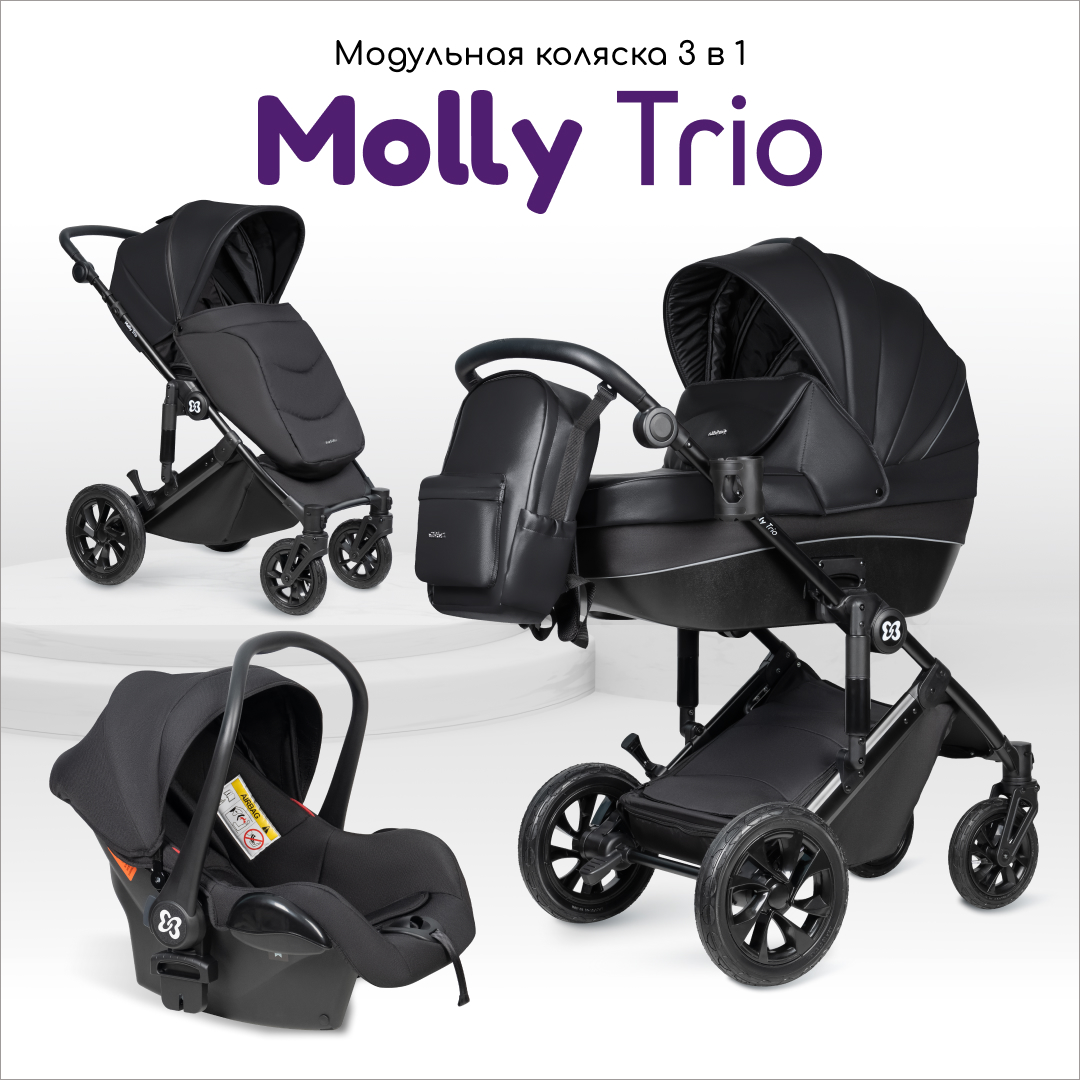 Коляска 3в1 Farfello Molly Trio - фото 1