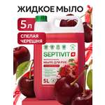 Мыло жидкое SEPTIVIT Спелая черешня 5200 г 5000 мл