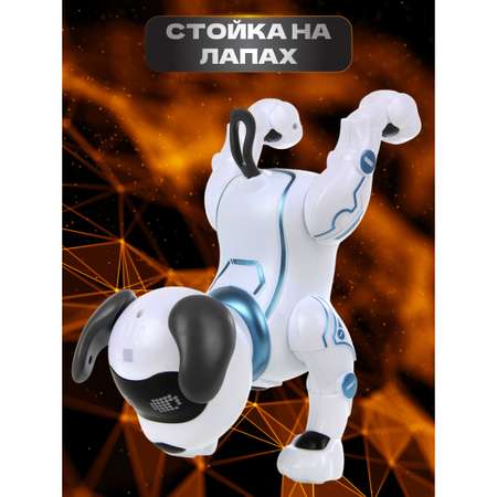 Собака РУ Veld Co