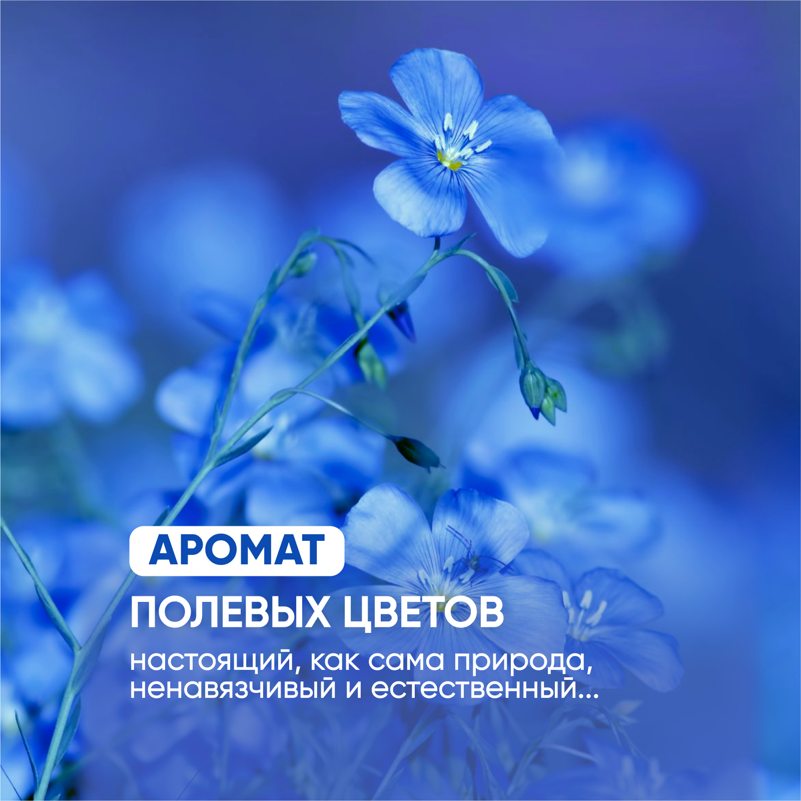 Мыло жидкое SimpleWay 900 мл - фото 6