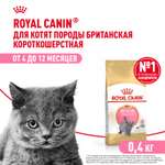 Корм сухой для котят ROYAL CANIN British Shorthair 400г породы британской короткошерстной