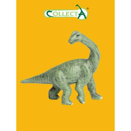 Фигурка Collecta Детёныш Брахиозавра