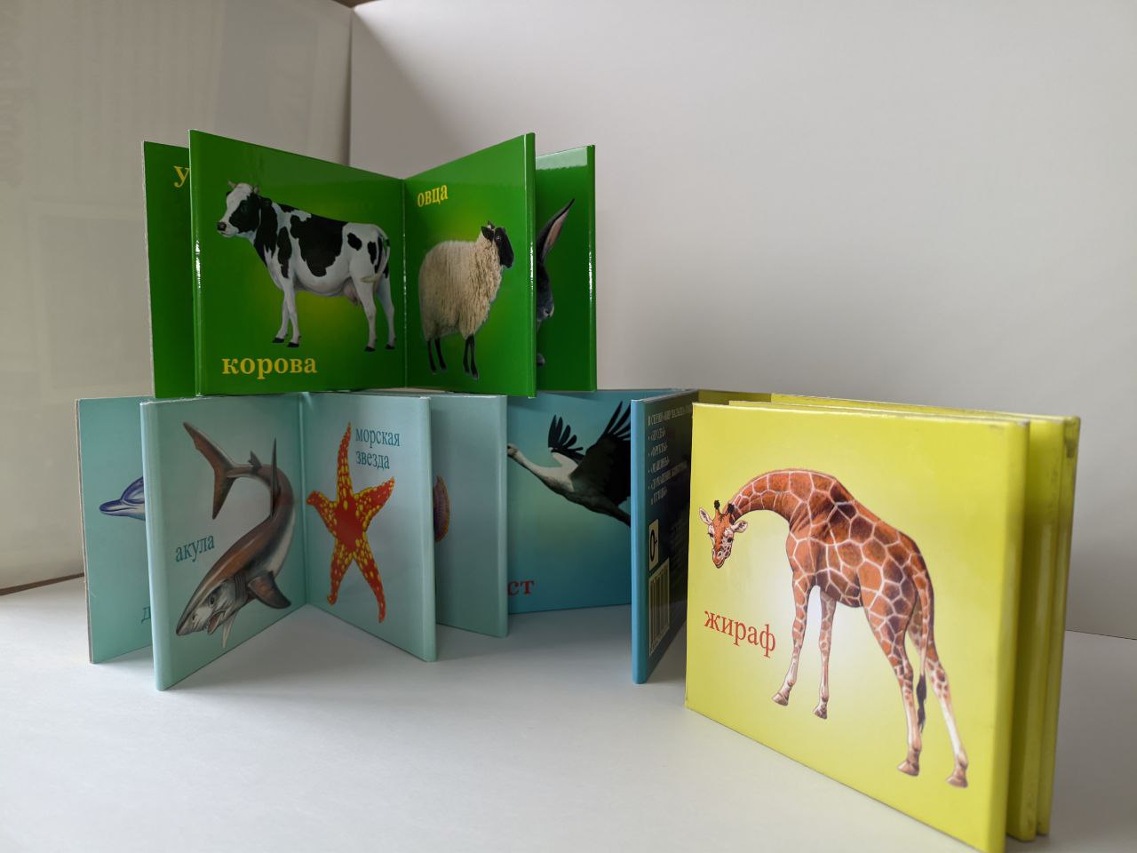 Набор Мирта-Принт Книжки-раскладушки для детей 1-3 лет. Комплект. В воде. Птицы. Животные. - фото 3