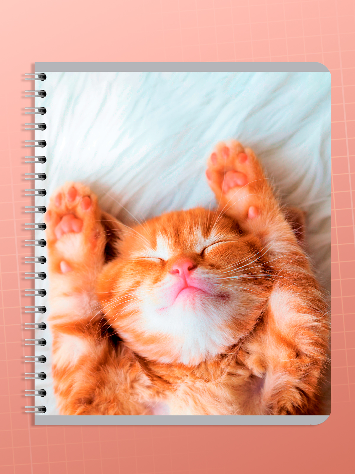 Тетрадь AXLER клетка 96 лист. 4 шт. - фото 7