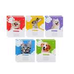 Тетрадь Calligrata клетка 12 лист. 10 шт.