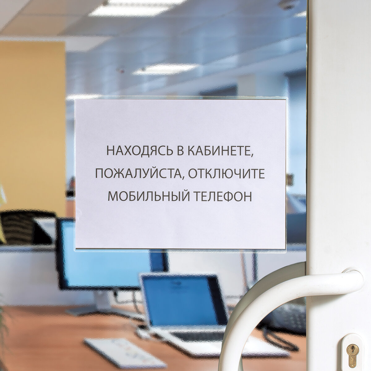 Файл Brauberg А4 - фото 2