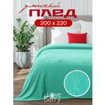Плед LOVEBERRY Тиффани велсофт 200 x 220 см