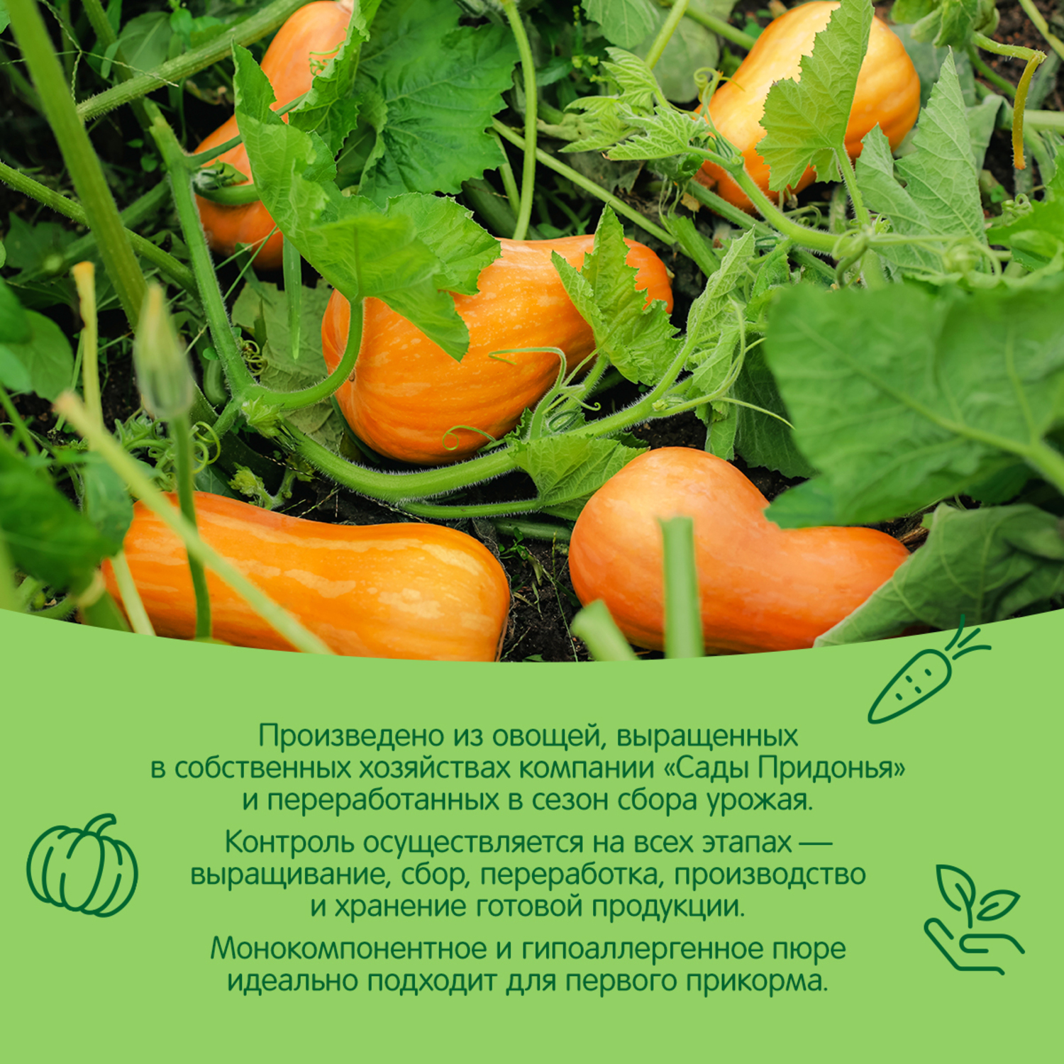 Пюре Сады Придонья Тыква с 5 мес 125 г - фото 4