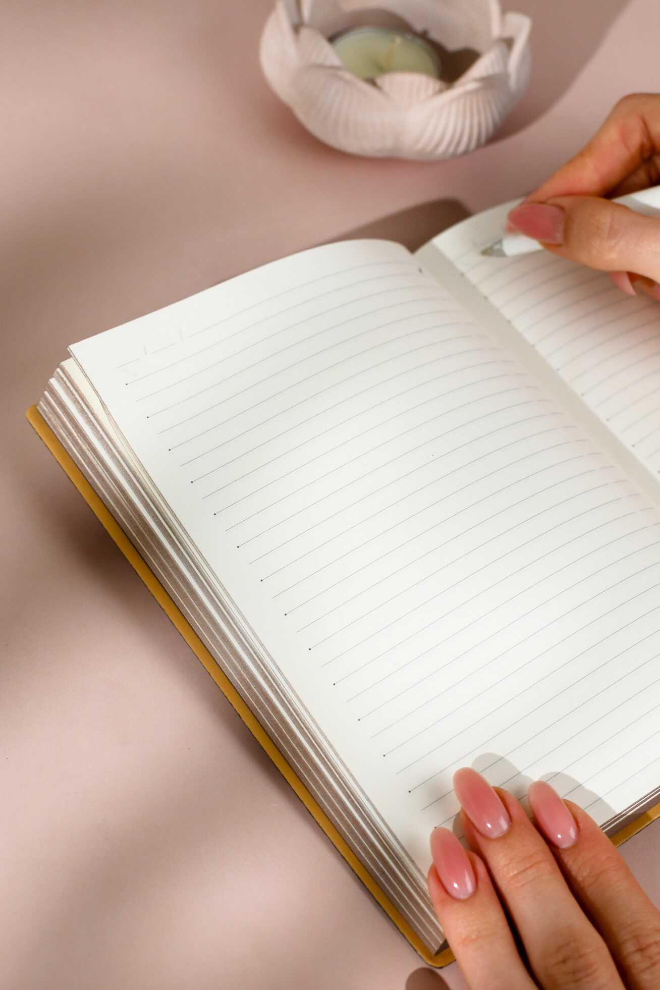 Ежедневник Феникс + ESCALADA 160 лист. - фото 19