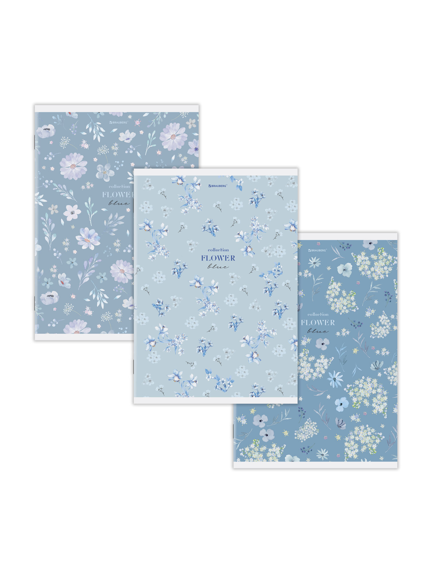 Общая тетрадь Brauberg клетка 96 лист. 3 шт. - фото 11