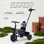 Трехколесный велосипед Rant Basic 10 дюймов