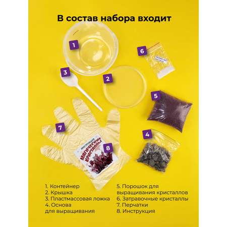 Набор для опытов ВИСМА Магические кристаллы