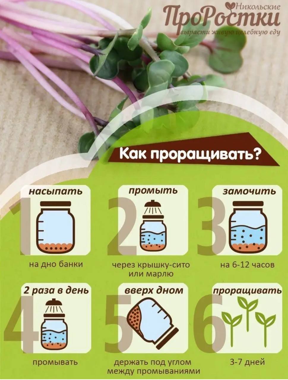 Семена для микрозелени MegaMedia редис - фото 8