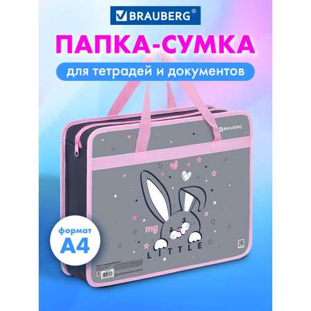Папка для тетрадей Brauberg А4