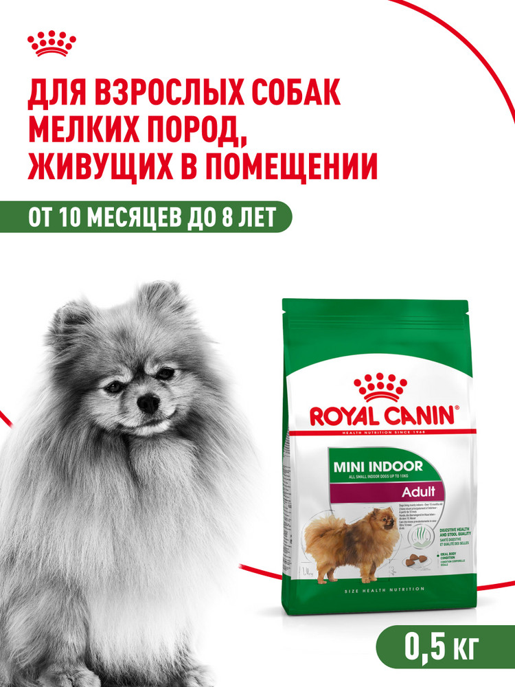 Корм для собак ROYAL CANIN малых пород живущих преимущественно в домашних условиях 500г - фото 1