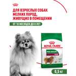 Корм для собак ROYAL CANIN малых пород живущих преимущественно в домашних условиях 500г